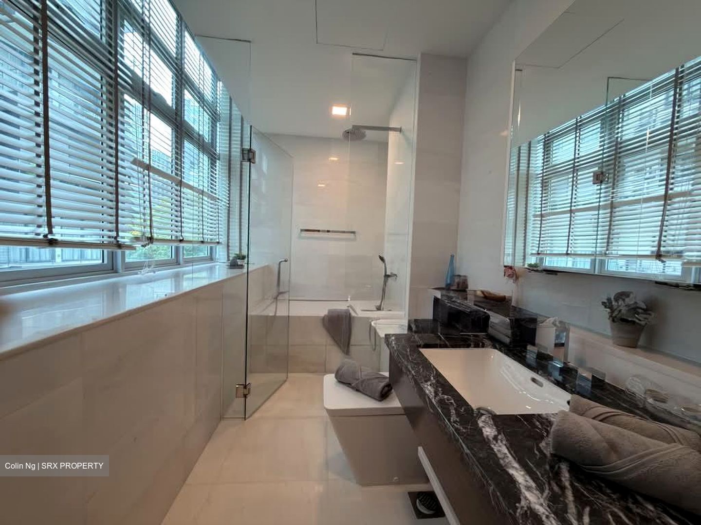 RESIDENCES AT EMERALD HILL (D9), Apartment #583434851